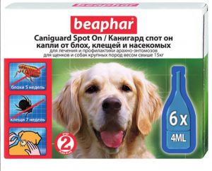 BEAPHAR:> Капли от блох и клещей Beaphar Caniguard Spot on для взрослых собак и щенков крупных пород 6 пипеток .В зоомагазине ЗооОстров товары производителя BEAPHAR (БЕАФАР) Голландия. Доставка.