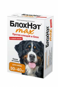БлохНэт:> Капли от блох и клещей БлохНэт MAX для собак от 30кг до 40кг .В зоомагазине ЗооОстров товары производителя Астрафарм (Россия). Доставка.