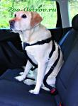 Автомобильный ремень безопасности для собак Trixie 50-70см  1291