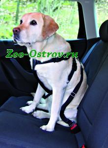 TRIXIE:> Автомобильный ремень безопасности для собак Trixie 50-70см  1291 .В зоомагазине ЗооОстров товары производителя TRIXIE (ТРИКСИ) Германия. Доставка.
