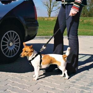 TRIXIE:> Автомобильный ремень безопасности для собак Trixie 30-60см 1290 .В зоомагазине ЗооОстров товары производителя TRIXIE (ТРИКСИ) Германия. Доставка.