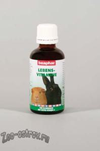 BEAPHAR:> Витамины Beaphar Lebensvitamine для грызунов и кроликов 50мл .В зоомагазине ЗооОстров товары производителя BEAPHAR (БЕАФАР) Голландия. Доставка.