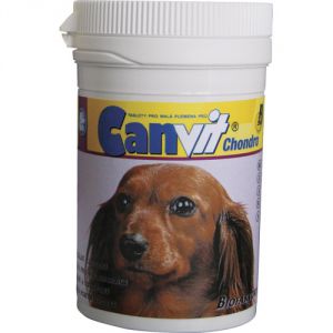 Canvit:> Витаминно-минеральный комплекс для собак Канвит хондро 100г .В зоомагазине ЗооОстров товары производителя Trouw Nutrition Biofaktory (Чехия). Доставка.