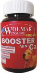 Витаминно-минеральный комплекс для щенков Wolmar Pro Bio Booster Ca Mini мульти для мелких пород 180тб