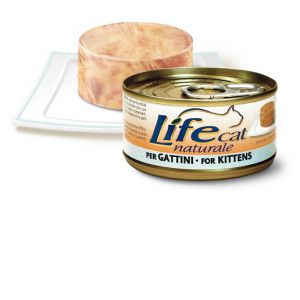 LifeCat:> Корм для котят LifeCat  kitten курица консервы 70г .В зоомагазине ЗооОстров товары производителя Life Petcare (Италия). Доставка.