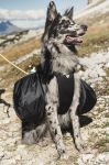 Рюкзак-сумка-шлейка на спину собаке Hurtta Outdoors Trail Pack, размер M, Чёрный 932360