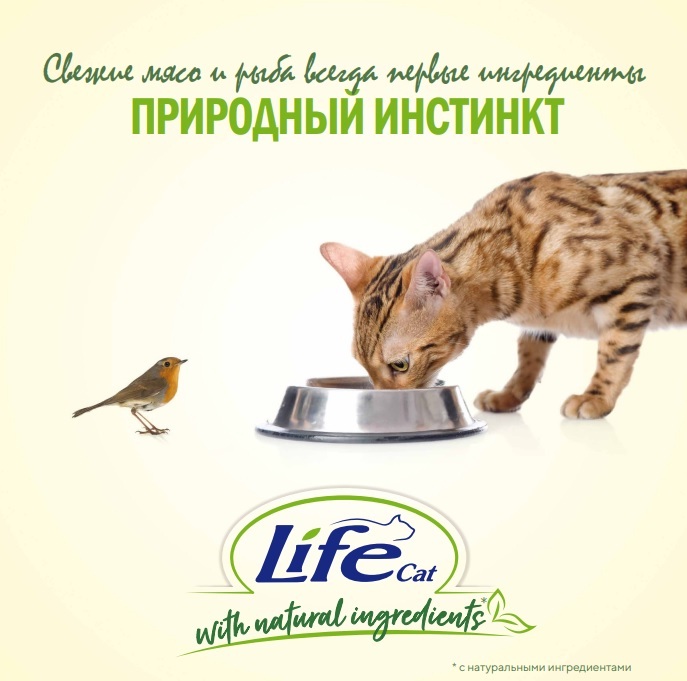 Корма Lifecat на Zoo-Ostrov.ru