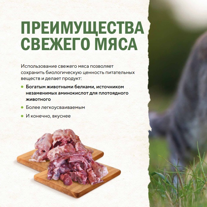 Корма Lifecat на Zoo-Ostrov.ru