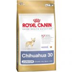 Корм для собак Royal Canin Chihuahua Junior для щенков породы Чихуахуа до 8 месяцев сухой 0,5кг