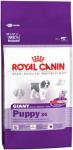 Корм для собак Royal Canin Giant Puppy 34 для щенков от 2 до 8 мес очень крупных пород сухой