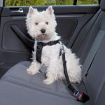 Автомобильный ремень безопасности для собак Trixie 20-50см 1288 