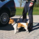 Автомобильный ремень безопасности для собак Trixie 30-60см 1290