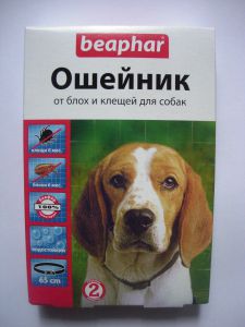 BEAPHAR:> Ошейник от блох и клещей Beaphar для собак .В зоомагазине ЗооОстров товары производителя BEAPHAR (БЕАФАР) Голландия. Доставка.