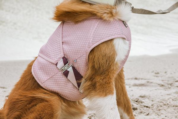 Hurtta shop cooling harness