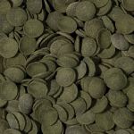 Корм для рыб Tropical  Green Algae Wafers растительный корм для травоядных рыб чипсы 113г