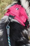 Шлейка Hurtta Active Harness размер(обхват груди)  100-120см сине-зелёная 932640 