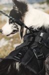 Рюкзак-сумка-шлейка для собаки Hurtta Outdoors Trail Pack, размер S, Чёрный 932359 