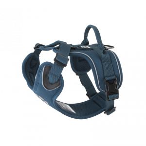 HURTTA:> Шлейка Hurtta Active Harness размер(обхват груди)  100-120см сине-зелёная 932640  .В зоомагазине ЗооОстров товары производителя HURTTA (Хуртта) Финляндия. Доставка.