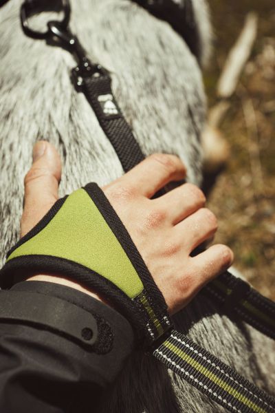 Jogging leash hot sale