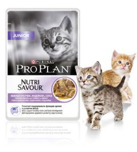 Pro Plan:> Корм для кошек Pro Plan JUNIOR CAT кусочки индейки в желе для котят от 3 недель до 1 года дойпак консервы 85г .В зоомагазине ЗооОстров товары производителя Pro Plan. Доставка.