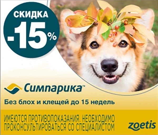 Купить Симпарику Для Собак 20кг